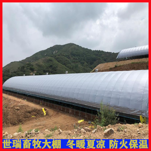 宁津县养殖大棚 养鸡大棚建设 养鸡棚规划设计 养鸡大棚施工 上门安装