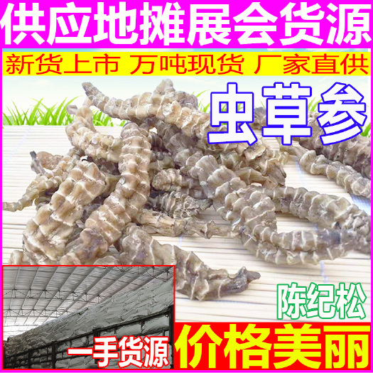 玉林虫草参 厂家直供高品质虫草参 地摊展会大条粗条足干虫草参地参