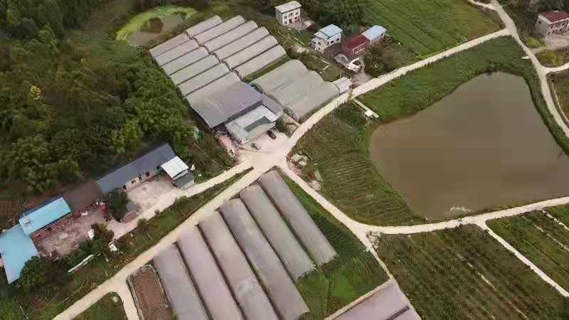 重庆市重庆市永川区300亩生态园林出租