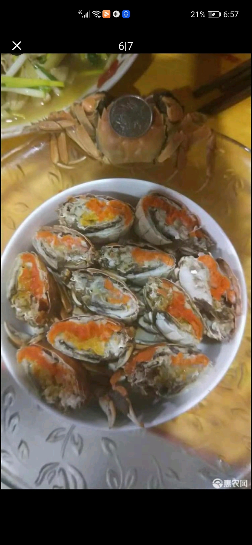 宣城大闸蟹  老头蟹，一元蟹，，农场直供，香辣蟹原料