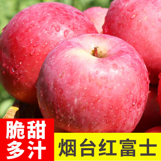 红富士苹果  山东苹果烟台红富士膜袋纸袋整车零担一件代发电商
