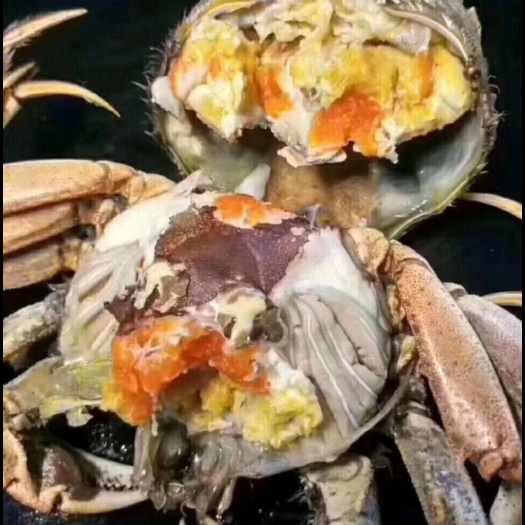 天津批发零售七里海稻田蟹