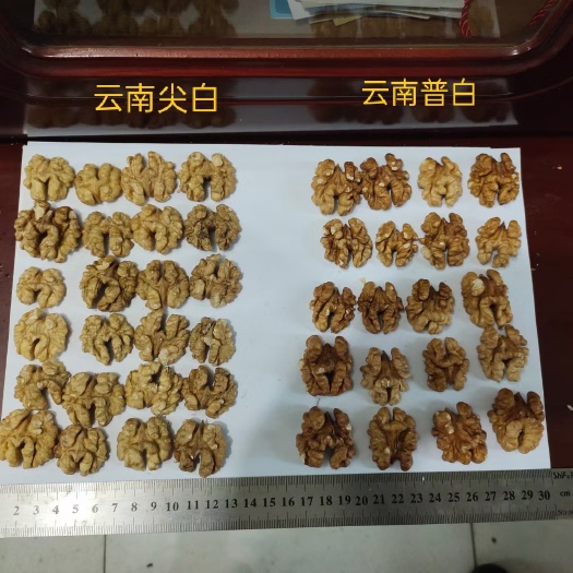赞皇县云南核桃仁白二路，现货供应