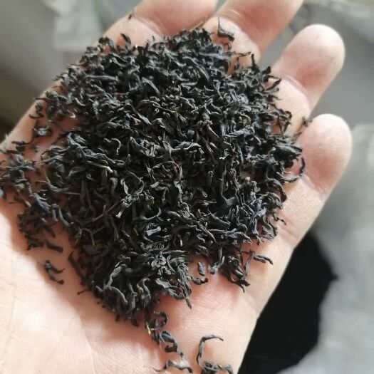 花草茶  辣木叶茶 辣木茶 辣木红茶 辣木绿茶