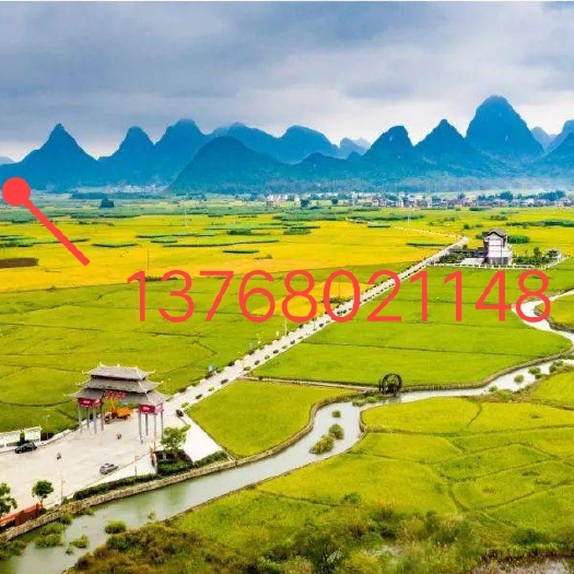 柳城县蔗尾青贮  全国寻牧场求合作