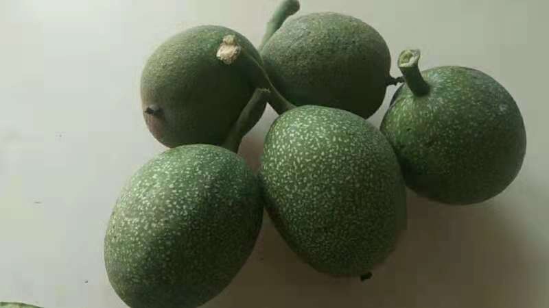黄龙县陕西黄龙 香玲薄皮核桃