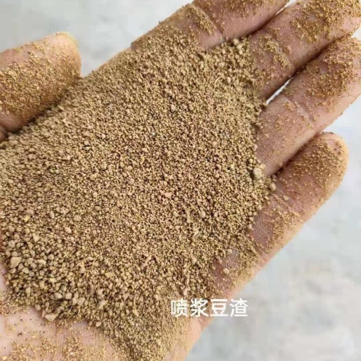 正定县 喷浆豆渣