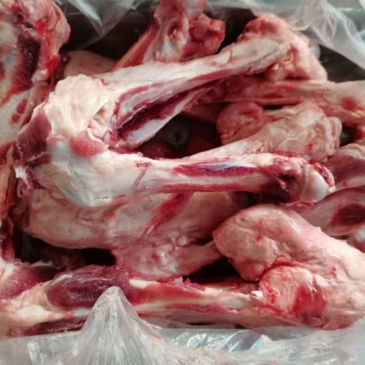 临沭县猪骨头 母猪前腿骨后腿骨光骨熬汤专用腿骨大骨头光骨头汤骨