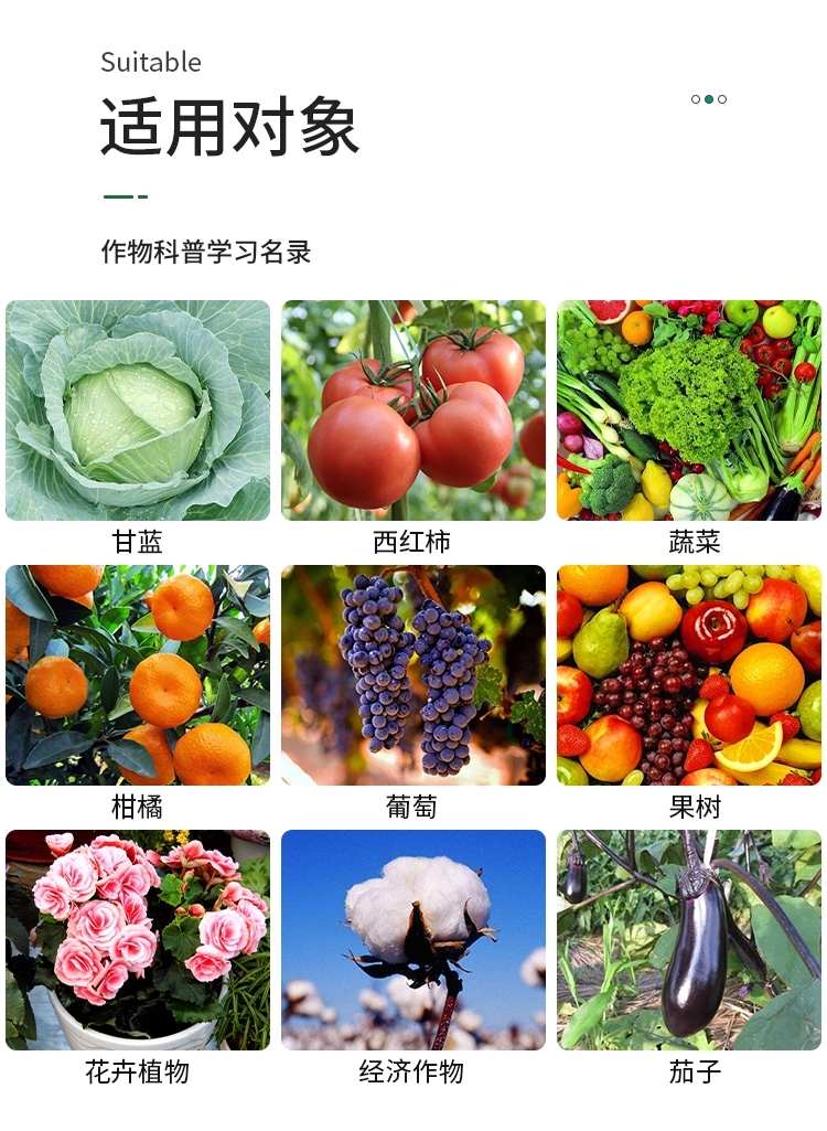 阿维乙螨唑红蜘蛛锈壁虱螨虫白蜘蛛黄蜘蛛专用杀虫杀卵高端杀螨剂