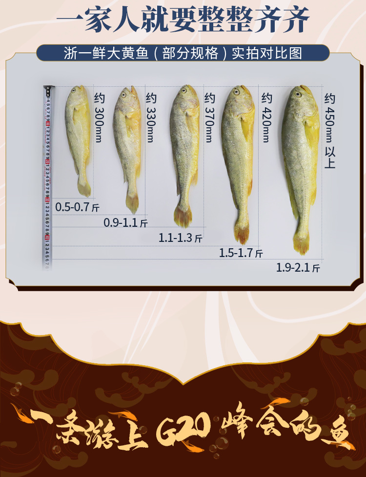  大黄鱼浙一鲜麂翔深海大黄鱼G20峰会食材深海黄花鱼约0.8斤