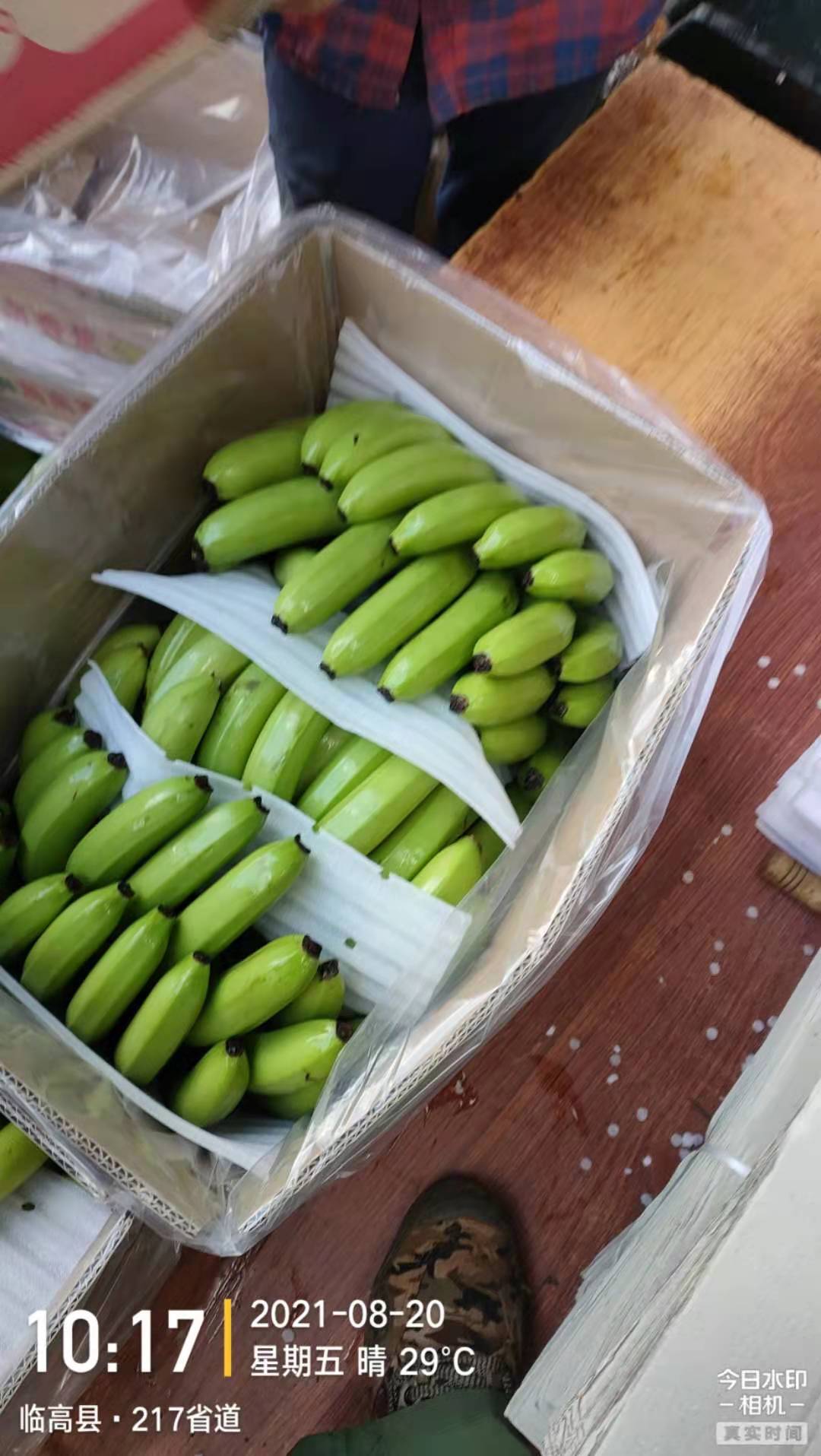  产地香蕉