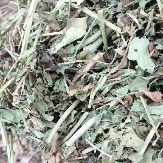 青干草饲料  牛草，小麦秸秆，花生秧，青储玉米自产自销
