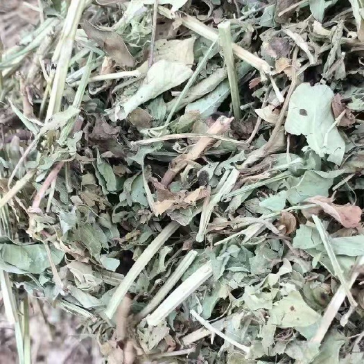 正阳县青干草饲料  牛草，小麦秸秆，花生秧，青储玉米自产自销