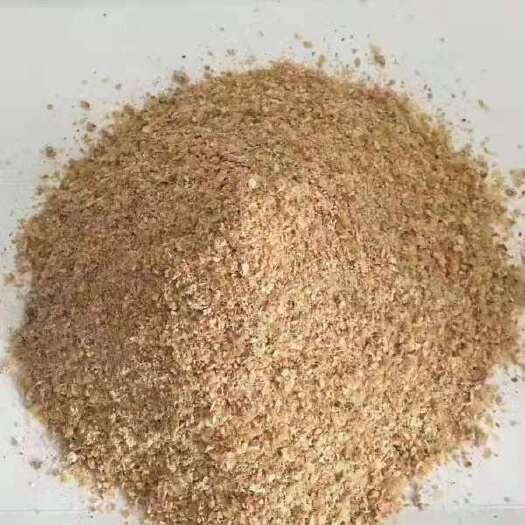 石家庄玉米渣  玉米胚芽破