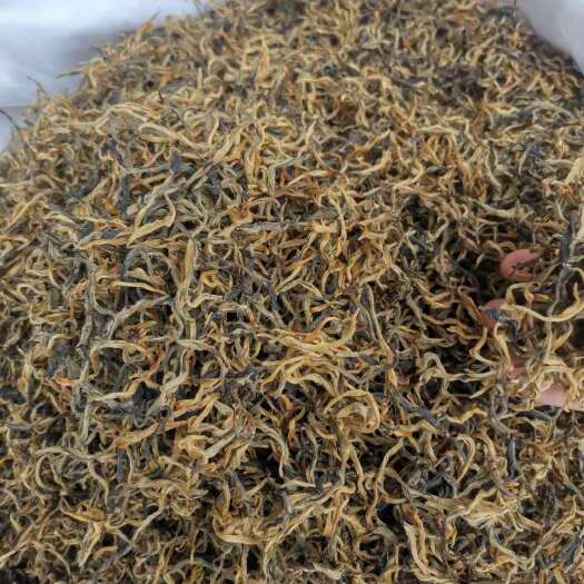 无极县滇红工夫 滇红单芽。