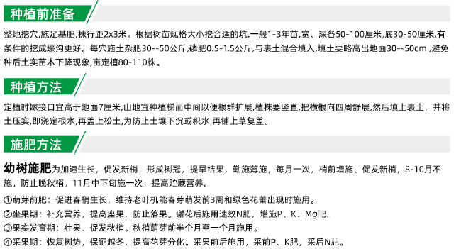 红心柚苗三红柚子树苗红心蜜柚果树苗嫁接苗包邮