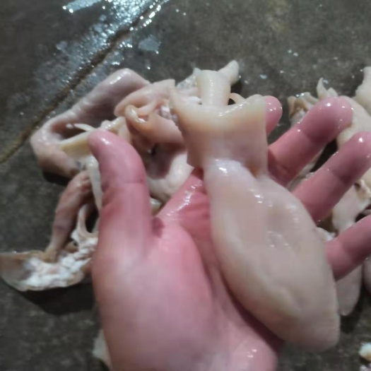 沈阳羊皮  羊蛋皮  全熟 羊宝皮 纯干无水