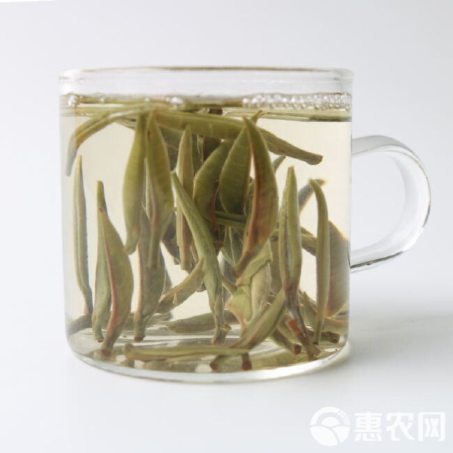 云南大白毫普洱绿茶白毫银针大芽头单芽耐泡茶汤清澈甘甜现货批发