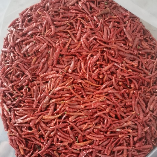 萧县朝天椒干辣椒  烘干艳红椒