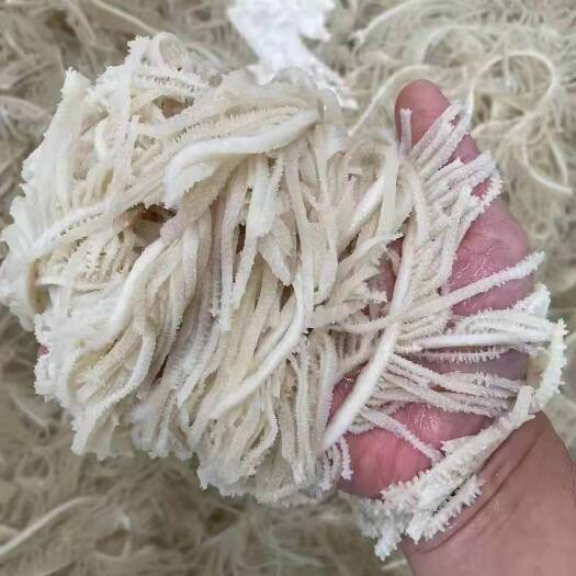 沈阳千层肚、白煮千层肚