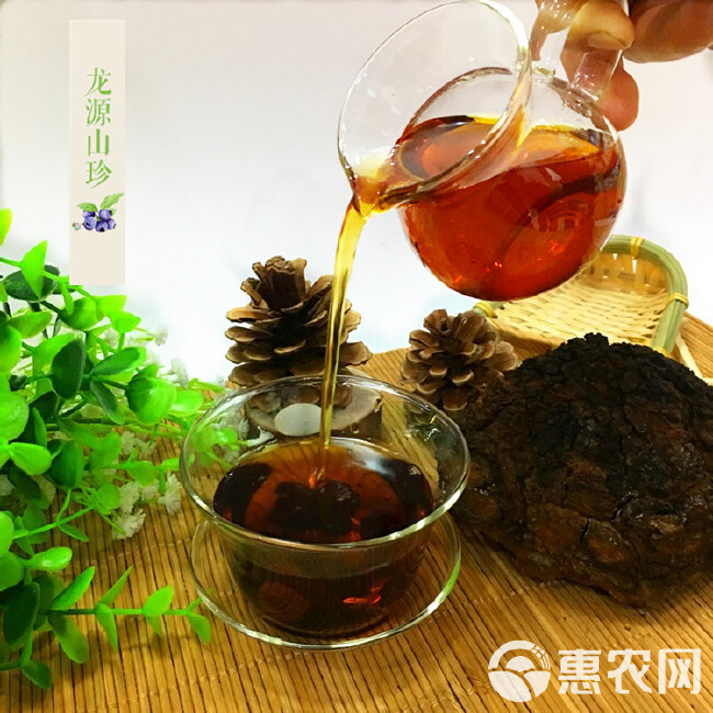 桦树茸 桦树泪大兴安岭华褐孔菌白桦茸桦树泪