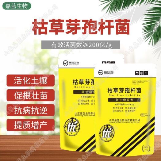 诸城市枯草芽孢杆菌农业种植微生物菌剂抗病促生长改良土壤水溶枯草菌