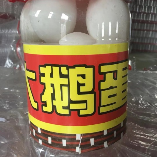泰安 桶装大鹅蛋，桶装蛋，网红同款，平台，三证齐全，支持实地