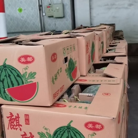 岐山县 美都西瓜