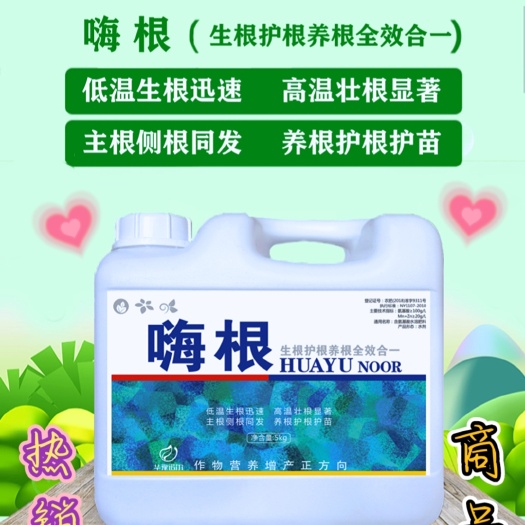 潍坊中量元素肥料  生根肥 冲施肥 主要是生根装苗 稳固根系 养根护根