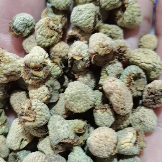 广德市覆盆子