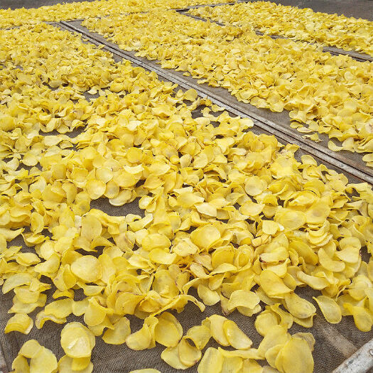 昭通农家干土豆片