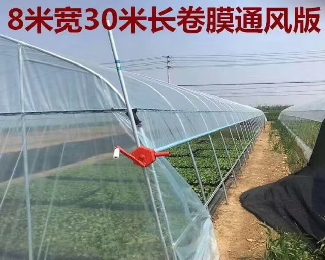 徐州连栋温室大棚  单体温棚，联动式温棚，简易温棚。