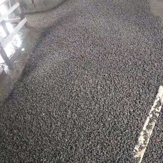 宁波石螺 大量供应饲料螺，日工两吨半，需要的老板联系。
