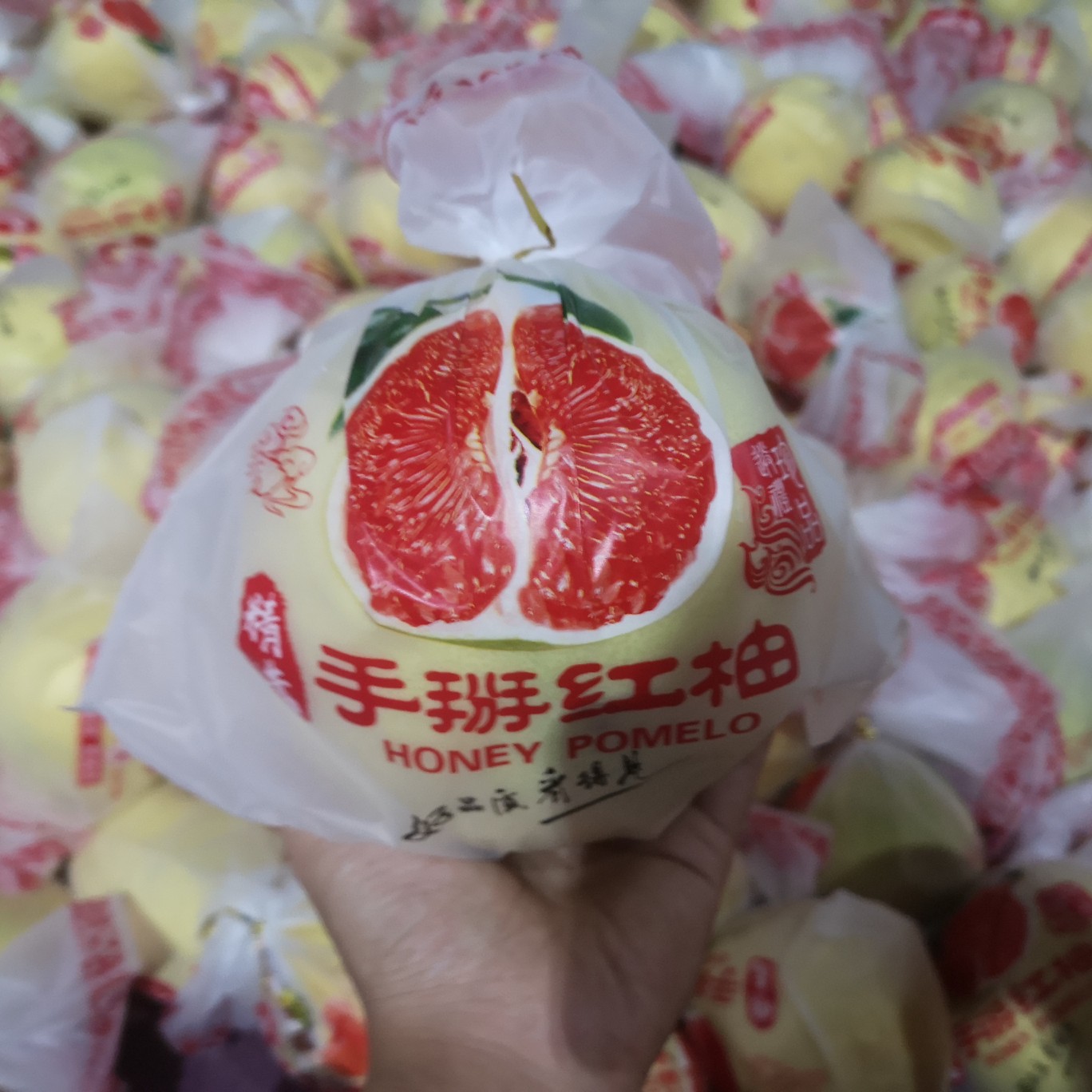 廣東梅州紅心柚  琯溪紅心蜜柚產(chǎn)地直供 實力代辦 貨源充足