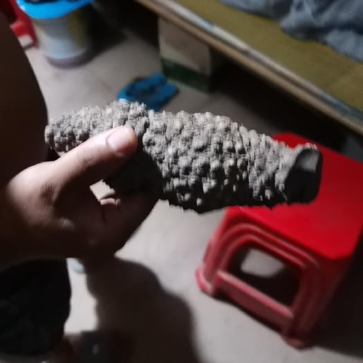 古蔺县 红药子