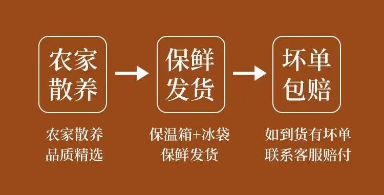 土鸡三黄鸡农家散养整只月子鸡新鲜鸡肉冷冻三黄鸡