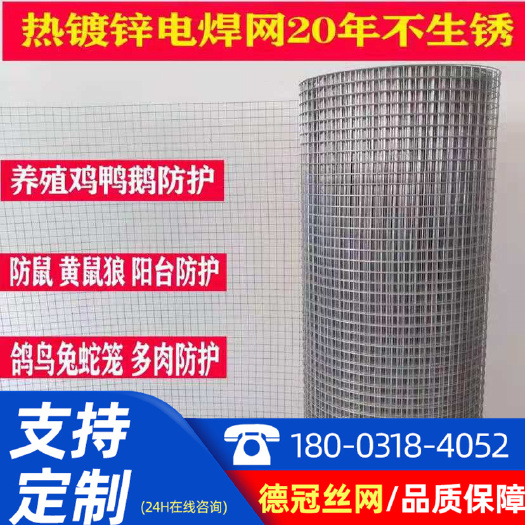 安平县镀锌铁丝网围栏网防鼠网养殖网电焊网阳台多肉防护鸽鸟笼家用网