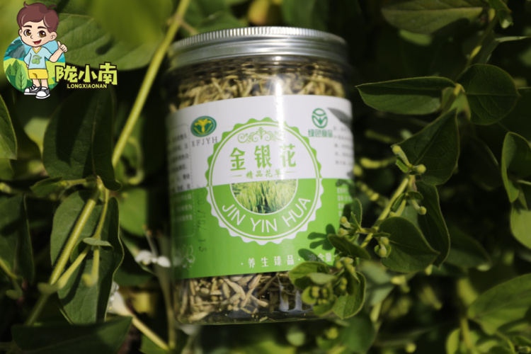 金银花茶
