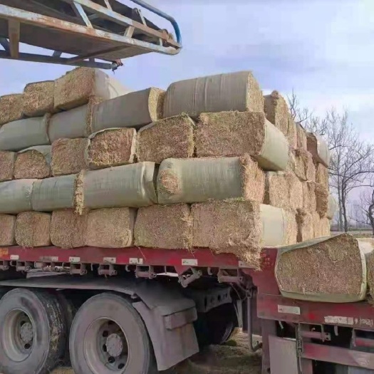 正阳县干草 粉碎柔丝小麦秸秆草无土无膜无霉变质量保证