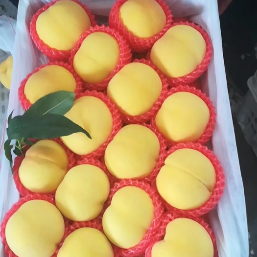 沂源县蜜桃  金黄金桃是一种离核的桃子，个头大，金黄色，又甜又脆