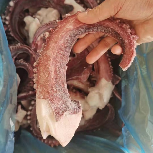 连云港章鱼足   个头都在3两以上