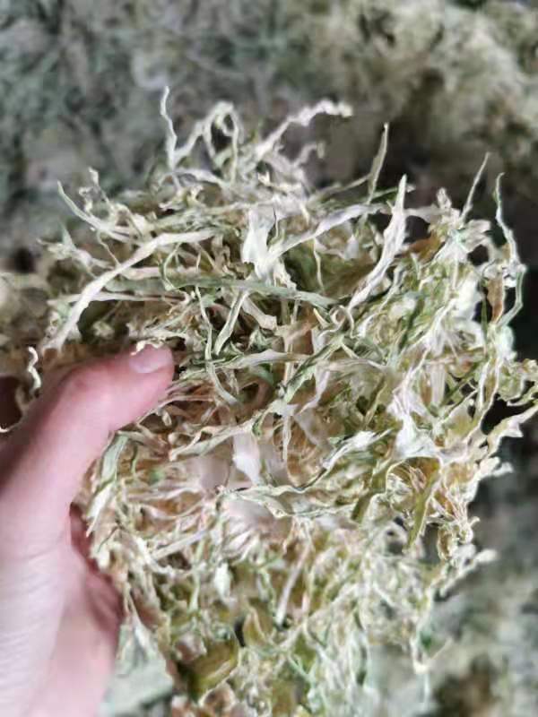 干包菜   云南脱水包菜丝 梅干菜 铁头菜 干货脱水蔬菜 圆