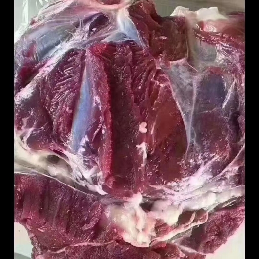长春东北鹿肉五斤起发冷冻保鲜