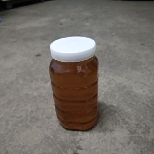 磁县枣花蜜 枣花蜂蜜