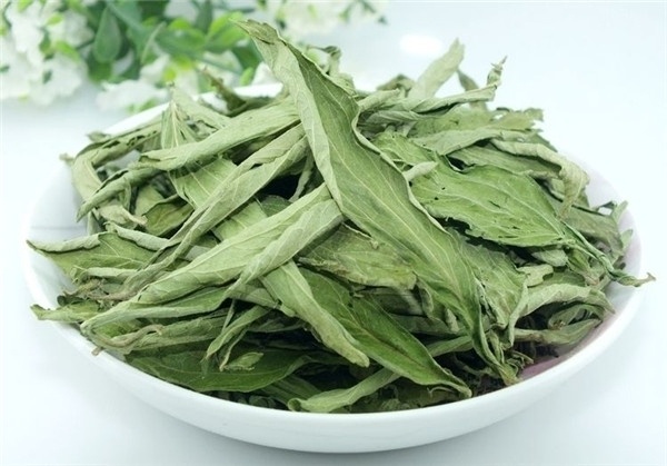 明光市 甜叶菊茶叶