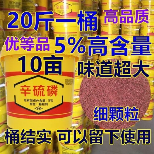 新沂市 5%辛硫磷  辛硫磷地下害虫颗粒剂专杀地下害虫蝼蛄 地老虎
