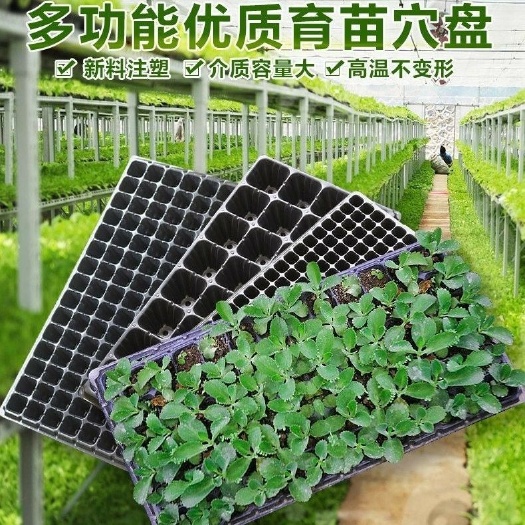 穴盘/育苗盘  全新材料基质盘育苗盘蔬菜苗盘瓜类育苗盘
