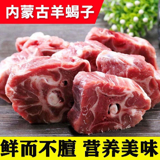 新鲜多肉羊蝎子羊脊骨羊骨头带骨髓内蒙多肉火锅食材