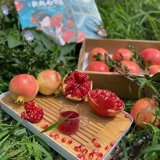 玉龙县 软籽石榴