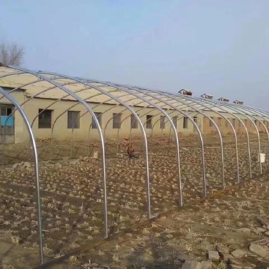 种植大棚  适合南方地区大面积种植西瓜用的经济实惠小拱形擦地